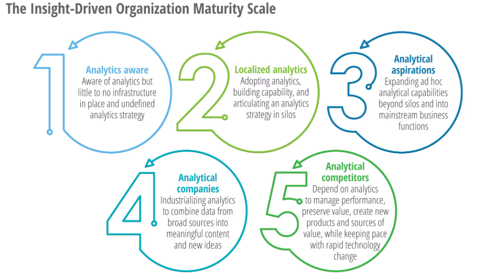 Insight-driven organization