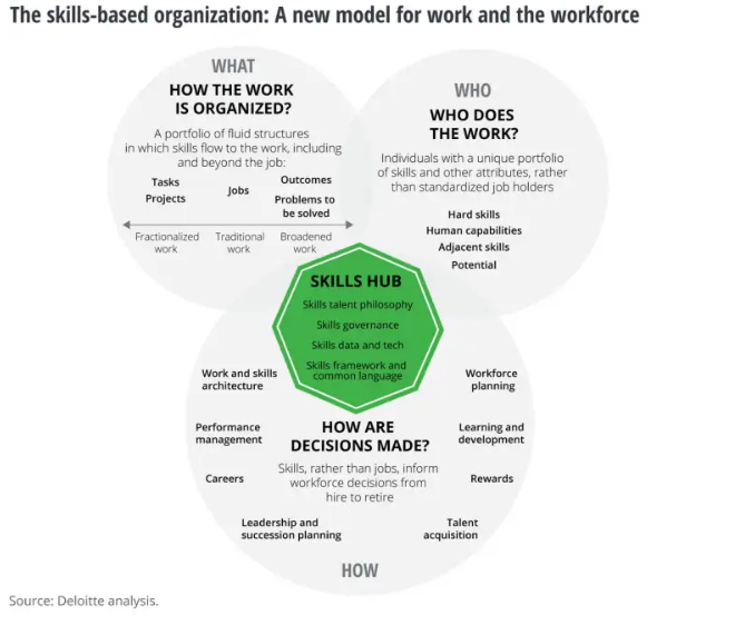 Skills-based organization